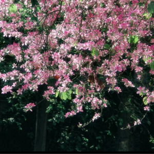 老师好紧⋯蕾丝丝袜真人视频
