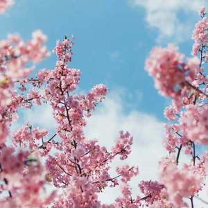 老师好紧⋯蕾丝丝袜真人视频
